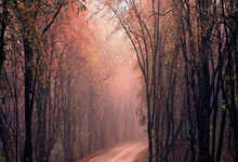 手把手教你做玉佩之中级玉