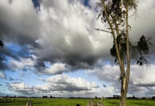 真封神锻造+15攻略指南【新手玩家必看】