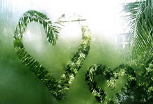 楼兰白金会员终极教程